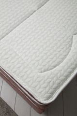 Vassi Baza+Başlık+Miray Gizli Pedli Yatak Gül Kurusu